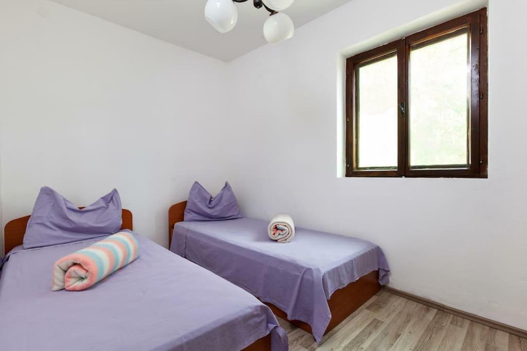 Villa Reminiscence Seget Vranjica Zewnętrze zdjęcie